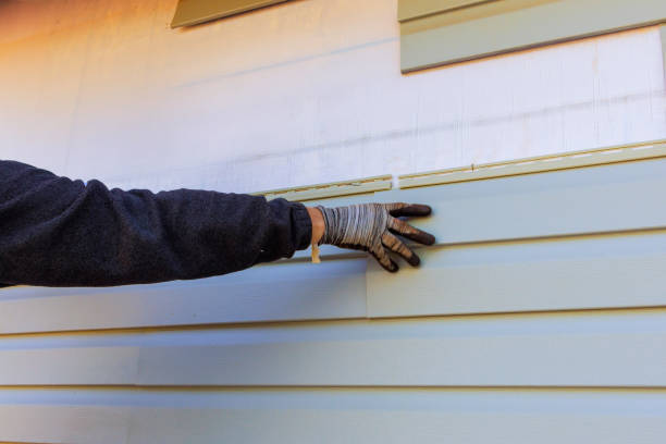 Affordable Siding Repair and Maintenance Services in Washington, WV